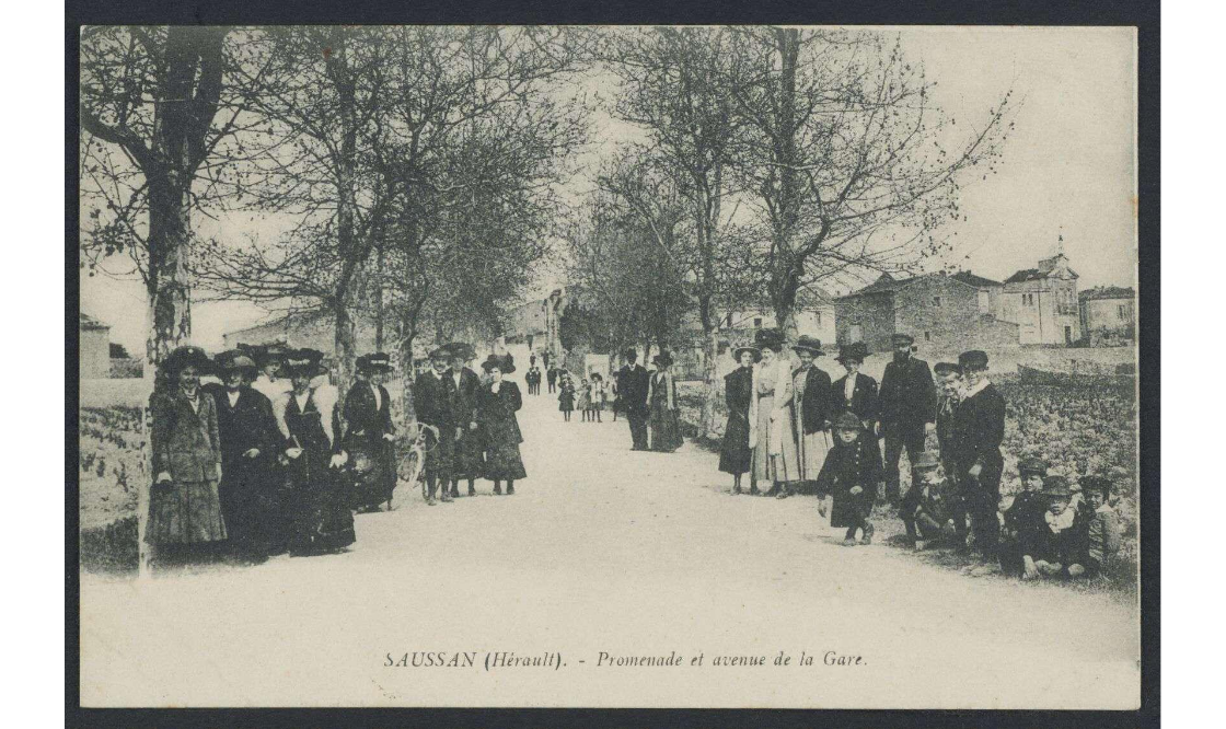 2 Fi CP 1748 Saussan (Hérault) - Promenade et avenue de la gare. / Ricard, L. (éditeur). 1919